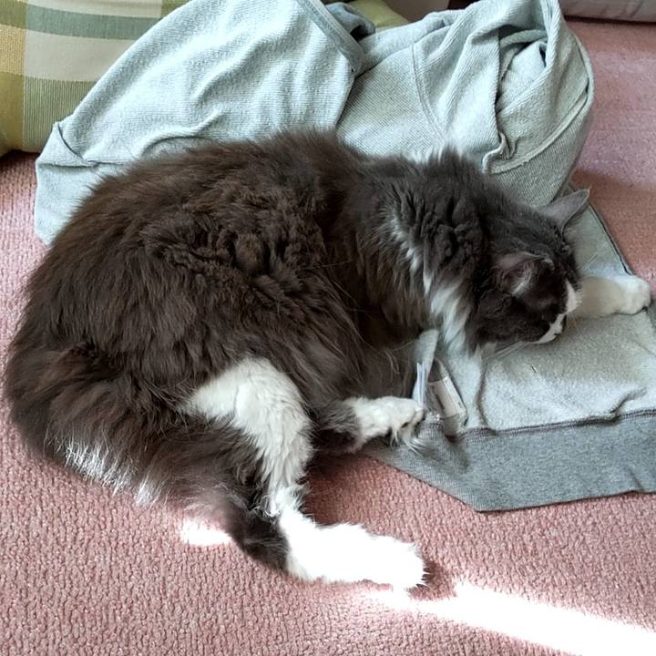 1abcddb4 b537 4428 a35c b01c33755e15 1729142138328