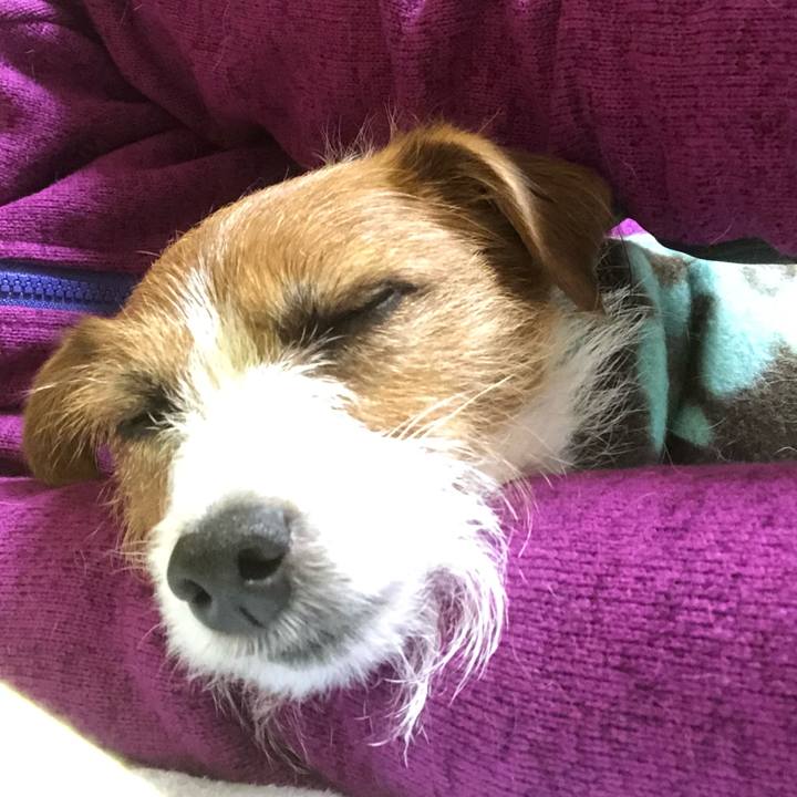 1abd04af 224c 4791 960c fa9dea3aea02 1546167153358