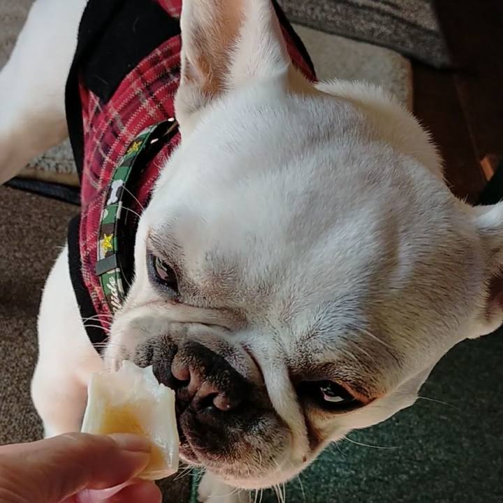 1abd6167 e4dd 4234 8385 48d6fa52d441 1645173617975