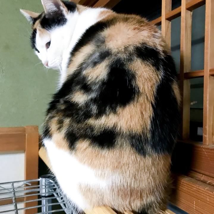 1abddc0f d262 4986 b8d1 4827b7bf04dc 1518274054920