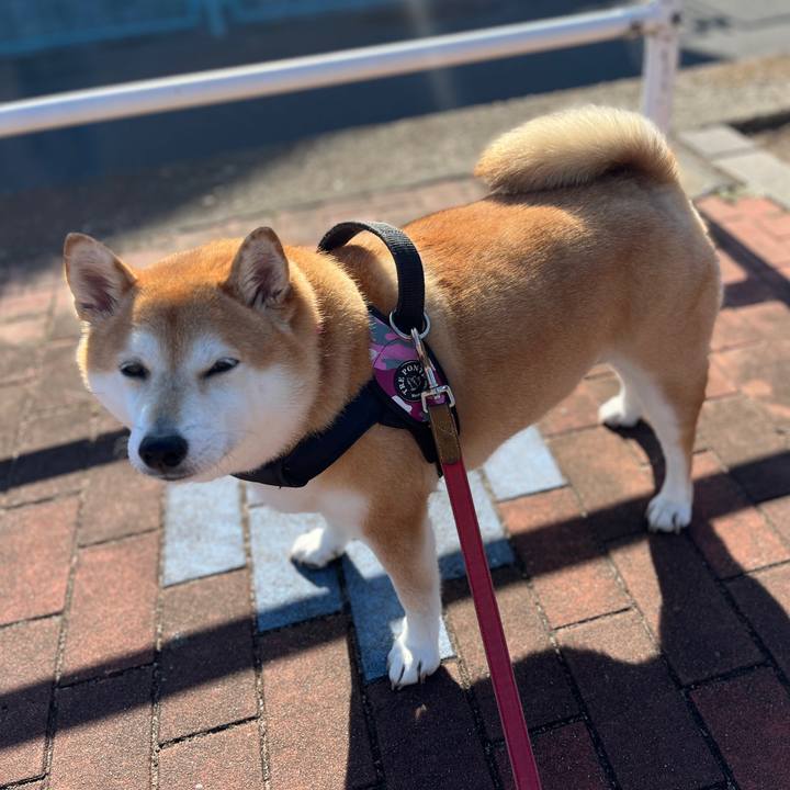 1abe2be4 9f44 401c b62b 28a007b1f9f3 1701313695698