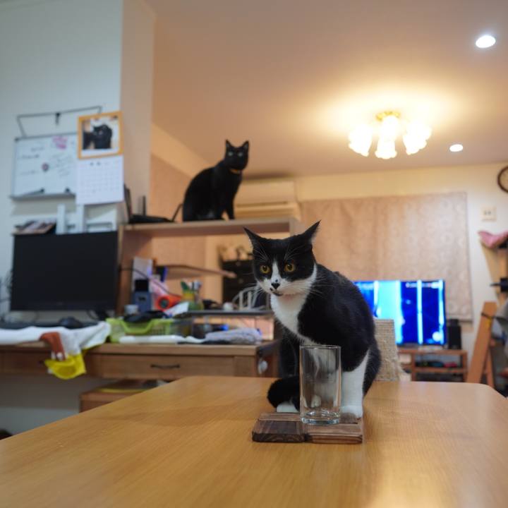 1abe47c5 27c5 4041 a581 1d81d083c15e 1598399582128