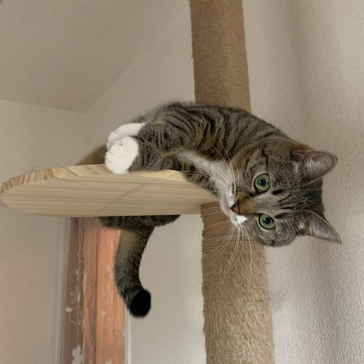 1abe677e 1eb8 40a4 9735 b634ea958caf 1610534943063