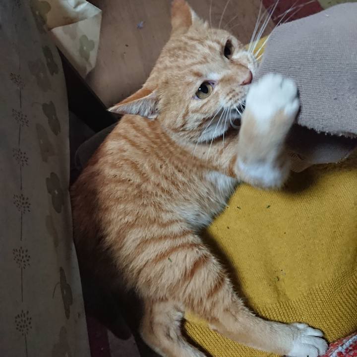 1abe7c6b fa7c 44b6 ab6d 0663d69327fc 1571440582169