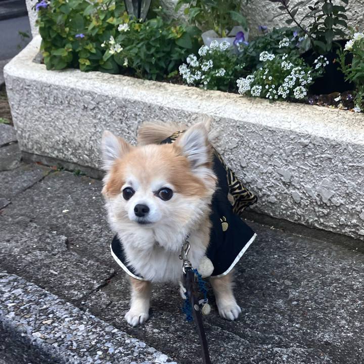 1abe862c 5b19 4859 be9b 4ea9b79cc228 1767262120262