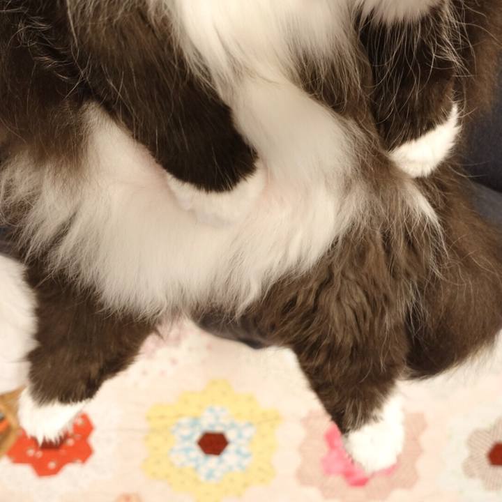 1abec031 dd80 42fc a484 f7c51d34cf47 1560129702392