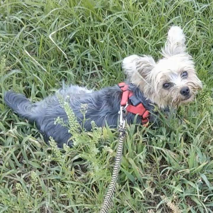 1abed503 3235 46d9 9683 cda1d053e15c 1561771390444