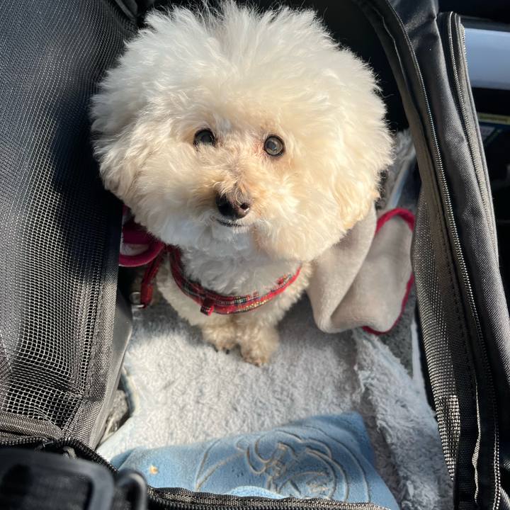 1abef3dc f898 42f8 9a80 34b72db3bab4 1771034829466