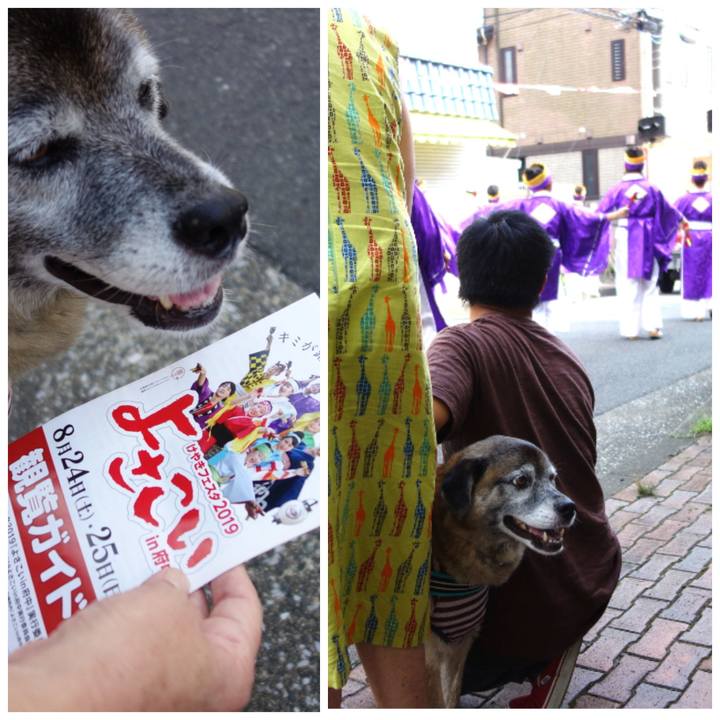 1abf1d16 3848 45f8 8b14 8cfc9b4b5cea 1677977868439