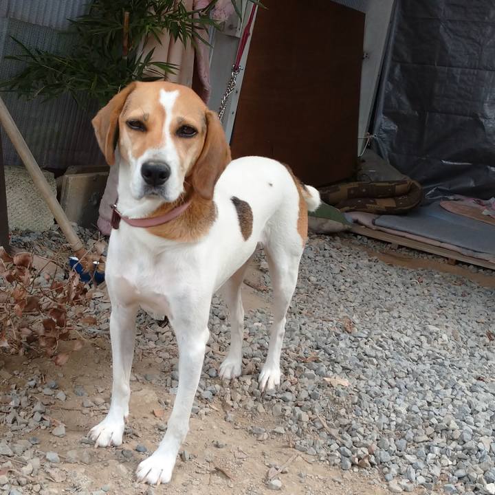 1abf4d88 f953 4087 909a 4da7d4700b94 1600331972450