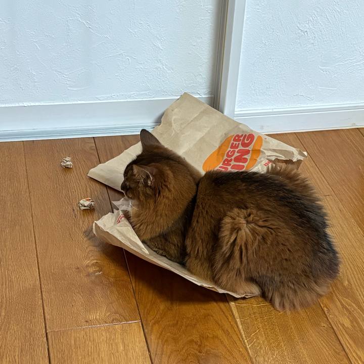 1abf6bad 38fc 4025 b3cb 1bb87d9fae30 1753523874667