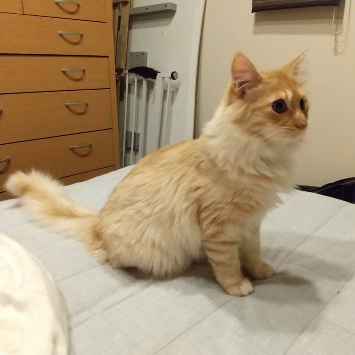 1abf7182 a4d8 4697 a940 ddf358b55fe2 1623326453193