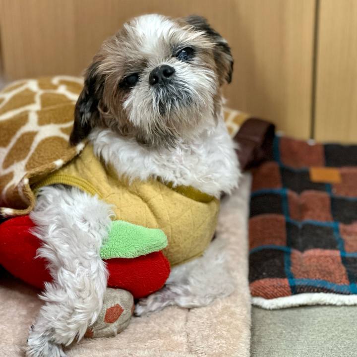 1abf7a93 1fc8 45b8 9baa ab8858e0dd3b 1698752169188