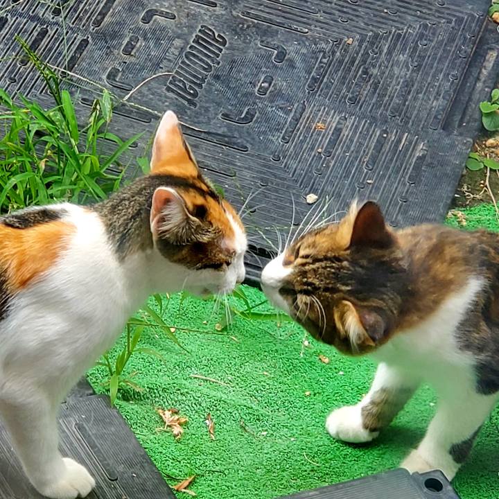 1abf8e66 a9f6 4275 9ecc 8928f9ad6b41 1695267473878