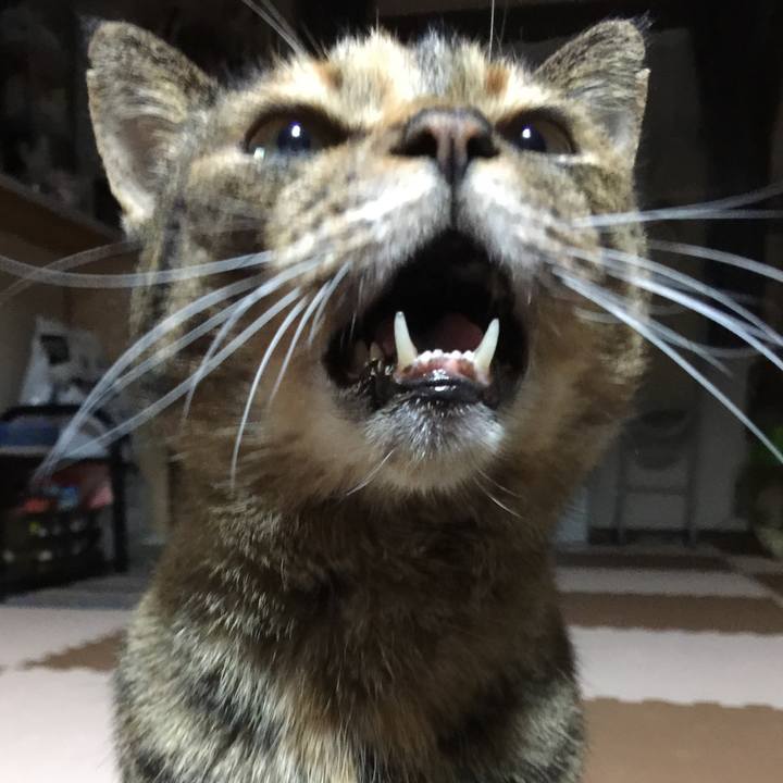 1abfa599 f535 45b5 89de 4a15b1591bd8 1543746954505