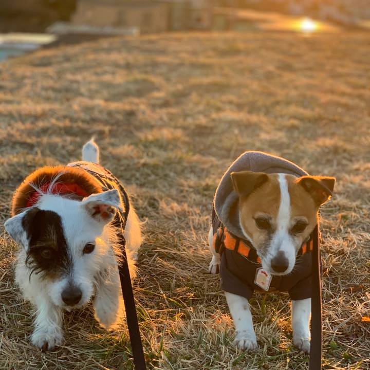 1abfc39d 619b 43a6 8901 3ed1f5cbf2ed 1611131974965