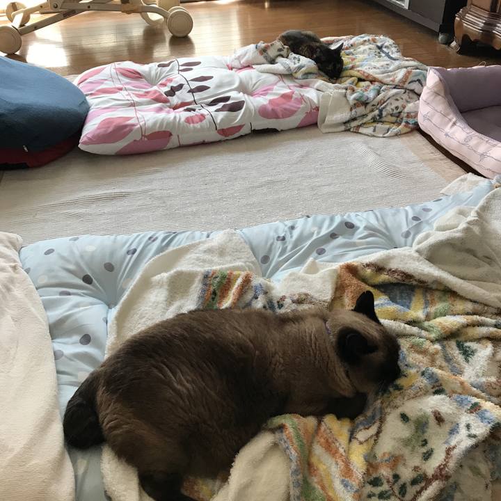 1abfe2a0 f1de 4448 ad6b 6dea75c5de94 1531876128281