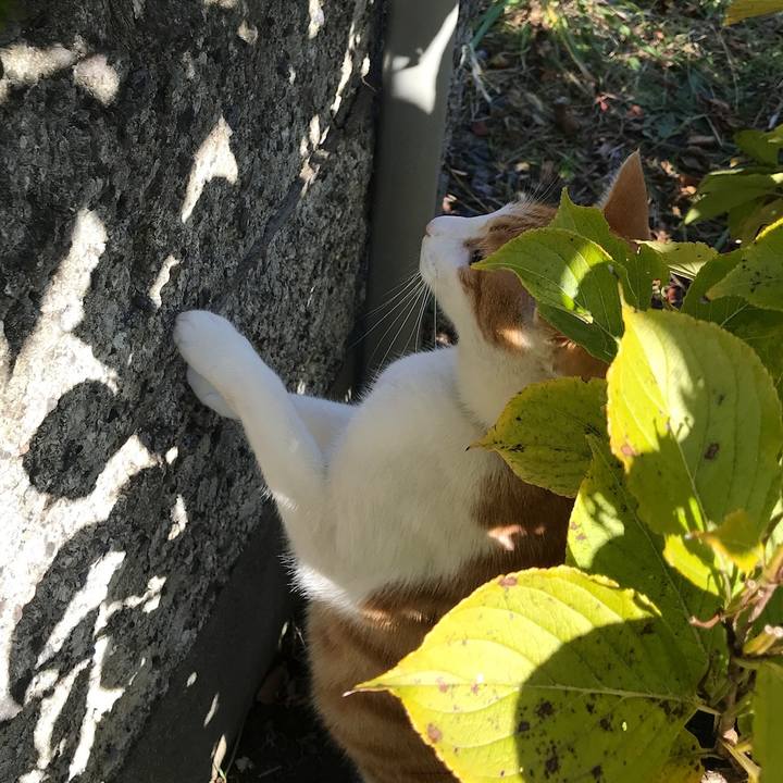 1ac01985 11b3 4f72 a4a0 e3477d5810a3 1543141613742