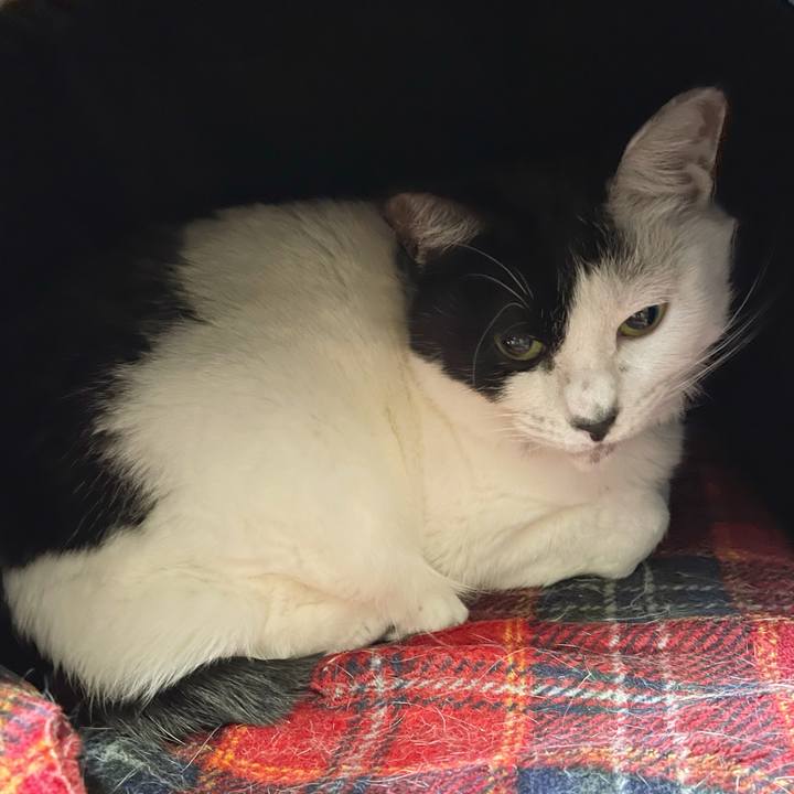 1ac02712 2307 4dfe b5da 0cd0f9db811f 1766822371905