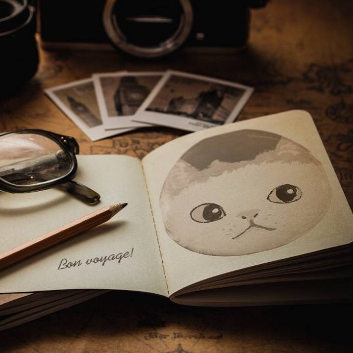 1ac063ae ec41 4a29 a9ae 75fdec0c3ee3 1546696962389