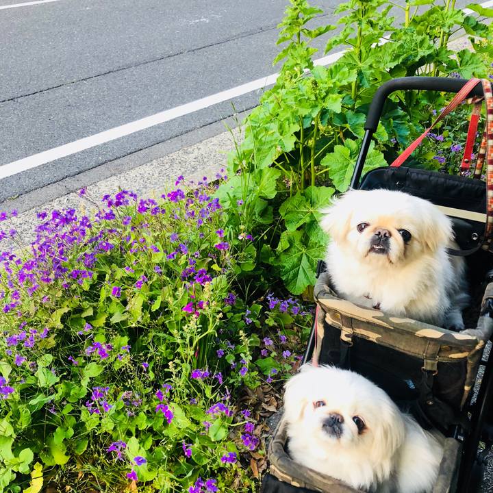 1ac06d34 7c34 4211 a4e4 78f6afc40b48 1588282216800