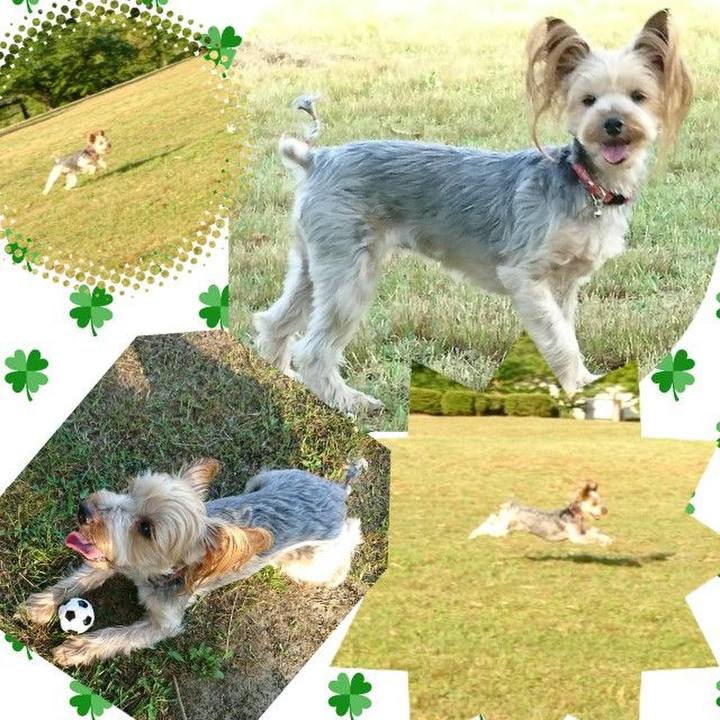 1ac079e7 c1df 4938 8108 a1758e8f82db 1558864007586