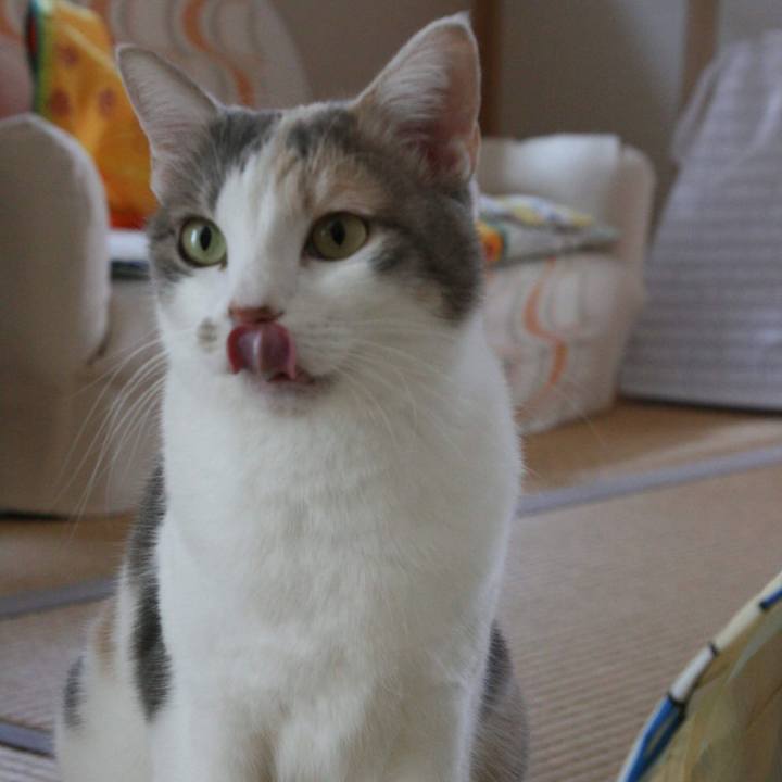 1ac0b871 73ce 4e44 81bc 693aa1fbcd6e 1554529173748