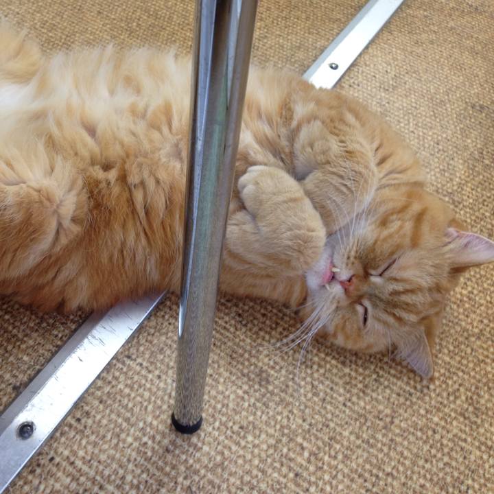 1ac0c528 7277 4d34 88b3 f1dd8fcee2f6 1527820843193