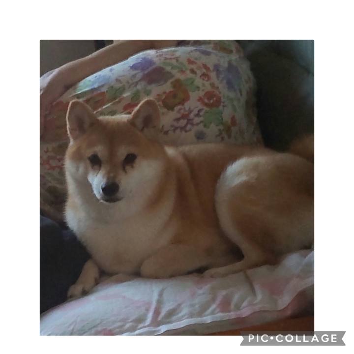 1ac0cb96 b888 4b18 9d84 d927d9a7817b 1760515827244