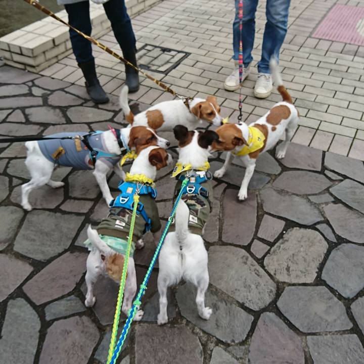 1ac0cd48 3d97 4bb1 9e8b 1fc7509ebeec 1560049926592