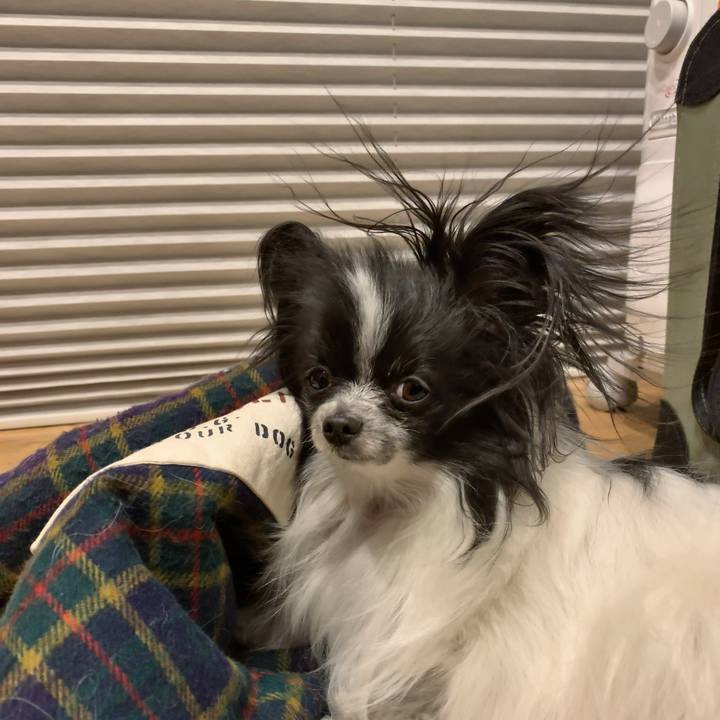 1ac0e81a e9ac 47c0 b942 0a8e18292bc6 1552661558514