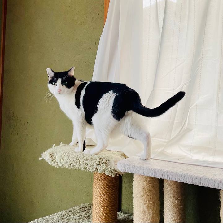 1ac0ed7e 4e67 4c23 a897 e1a1b0362fa3 1613352263943