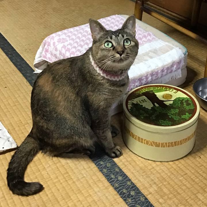 1ac0ff4a e103 4572 90fa 3db1dbdcc11a 1658221793508