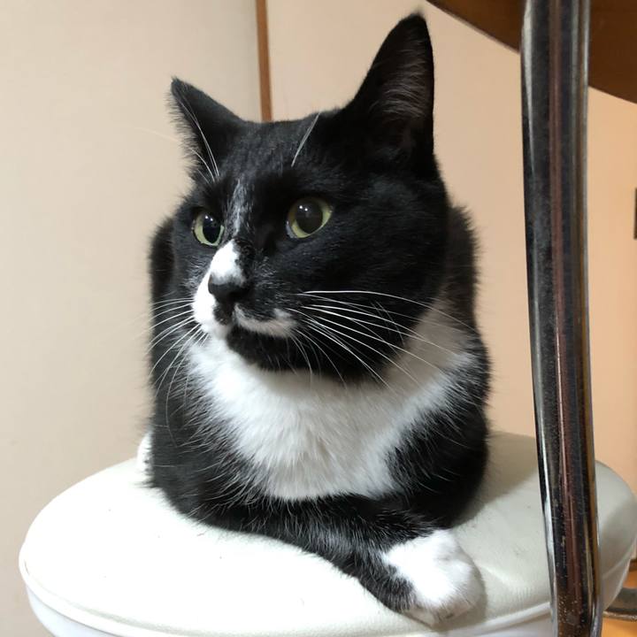 1ac1152e 9d82 4de5 9a9a 7d8c2caff9e7 1605152823158