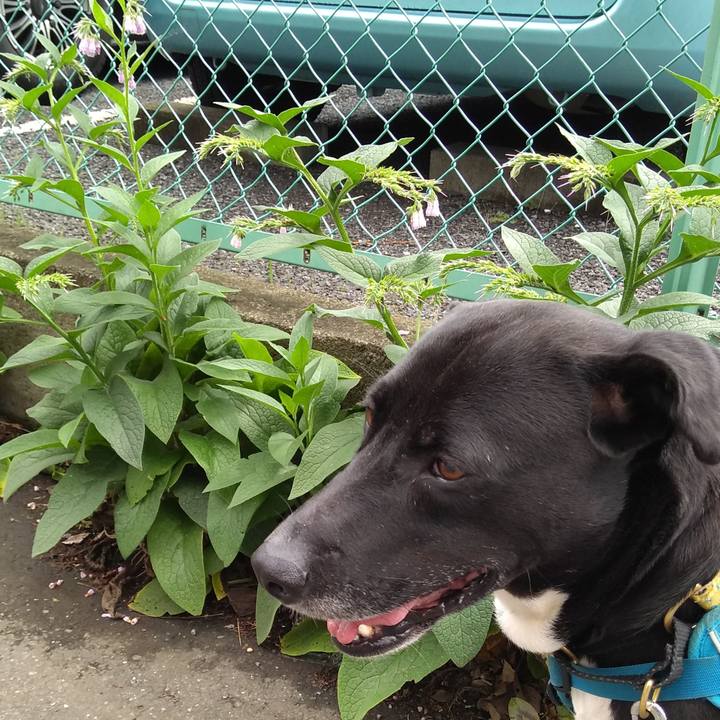 1ac166b0 edf5 43e4 88bc 14c836d9232c 1621730578222