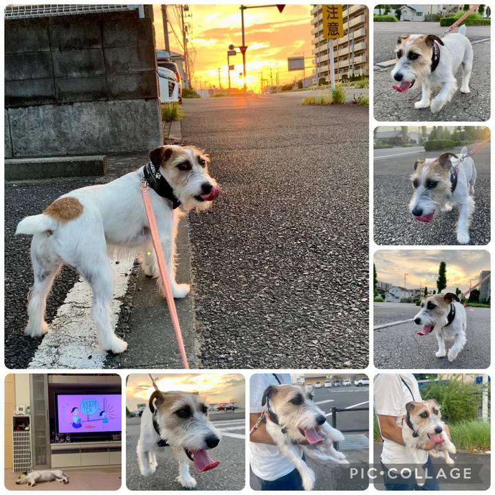 1ac16b8e 207a 487f bbf1 47b524862cf0 1660476567414