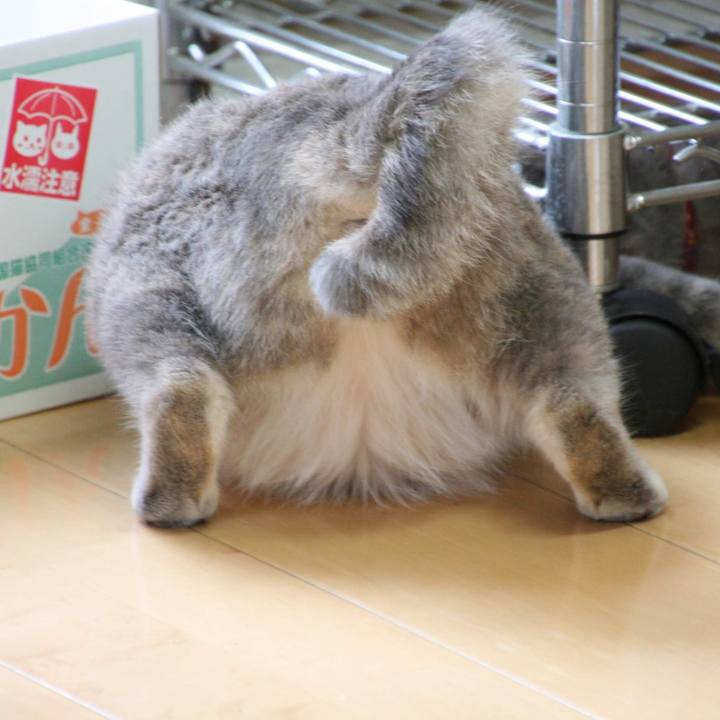 1ac1767f 2a02 465c 8207 722a14123e90 1528351350862