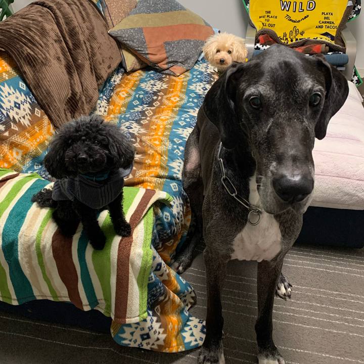 1ac17700 09f6 4441 8062 c2ca192145bb 1603407161523