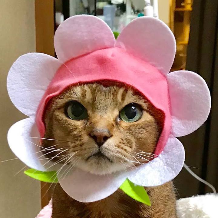 1ac1ae79 dc87 449e a86b 0804f64323e5 1764215056008