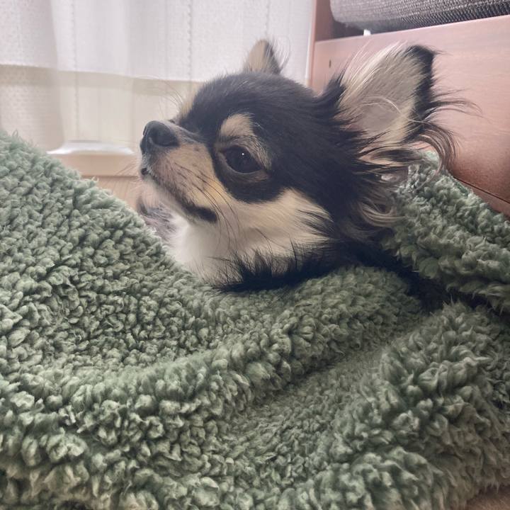 1ac1b77e 21af 4731 bdc8 dc1bfb5bfb77 1603580844576