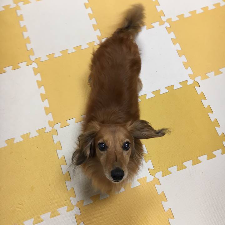 1ac1b8ca 28e3 49cc af37 815560ab59b9 1560866089091