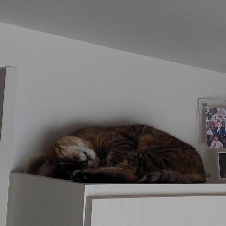 1ac1c7b3 6105 47de 9d8c 57267dc28c56 1649803005736