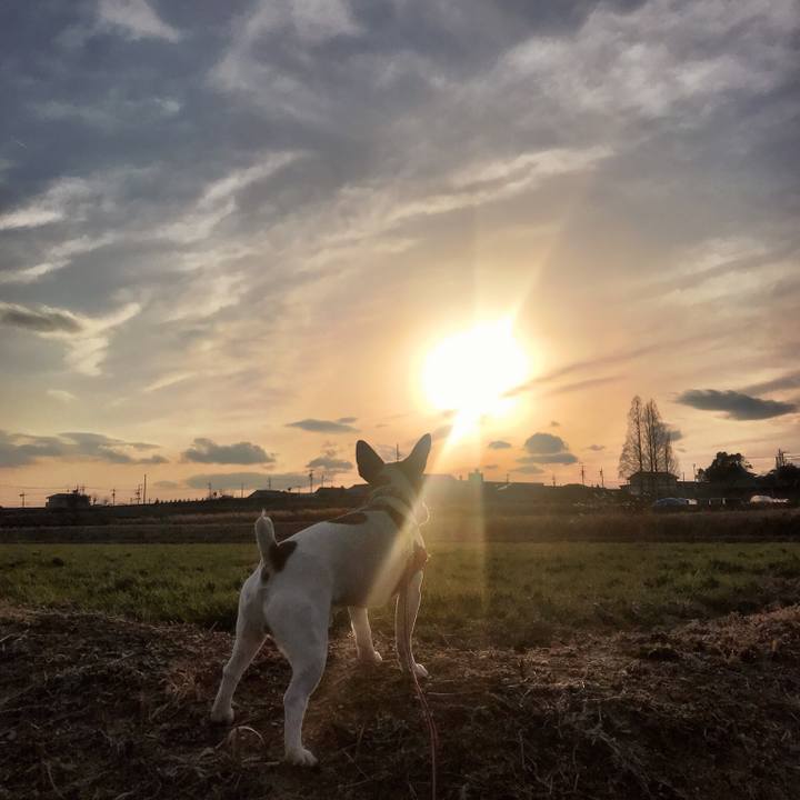 1ac1f8dd ef06 4713 b48a e1c1018780ed 1519216135151