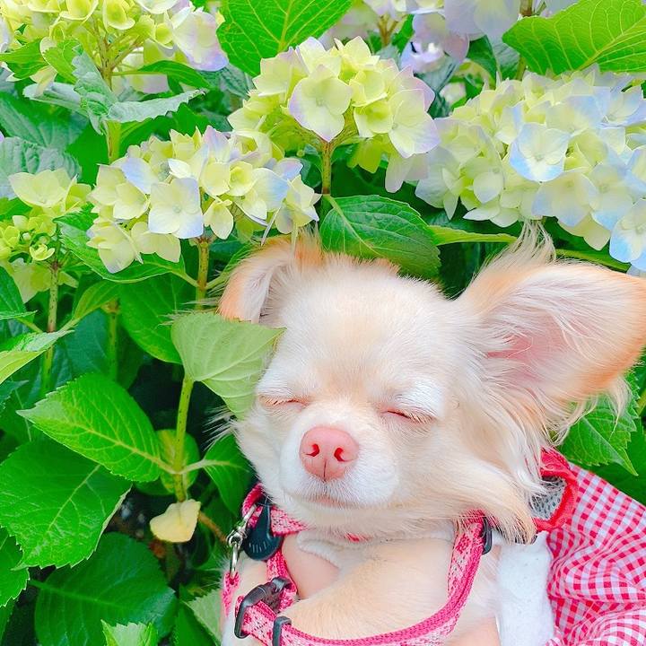 1ac1fd17 d935 456f 86e5 8169ba05ffc3 1621501402747