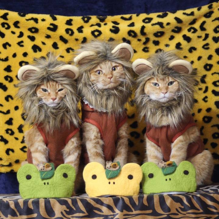 1ac207b8 4e0f 44a1 b933 b45c9e3d7563 1622626577133