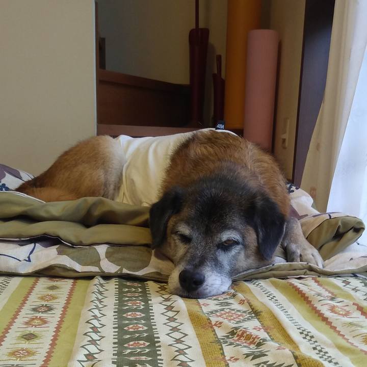 1ac241bf a37b 4e3c 8014 af598c79b944 1570765906897