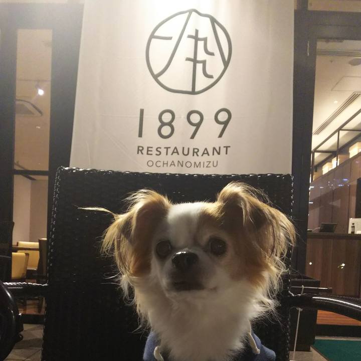 1ac2428d 5baf 420f b707 66452ef74b55 1542544021525