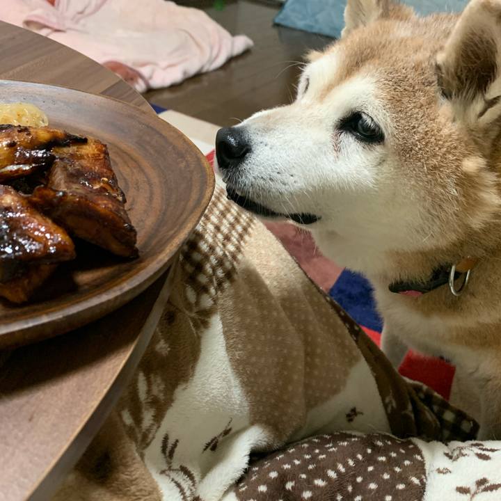 1ac24a43 e03b 4b28 a87c 5f0515e44e7d 1636797154437