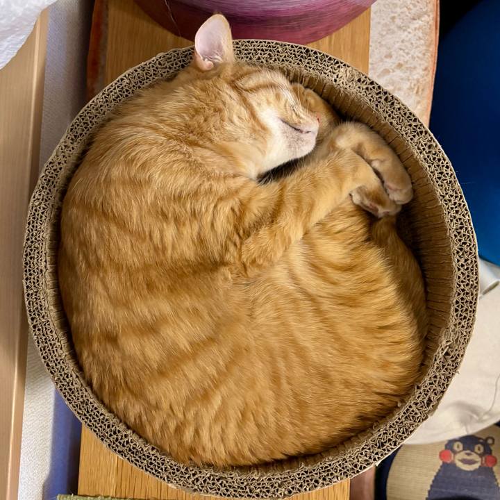 1ac24a95 9c0e 41be a174 566d6655d746 1759141518070