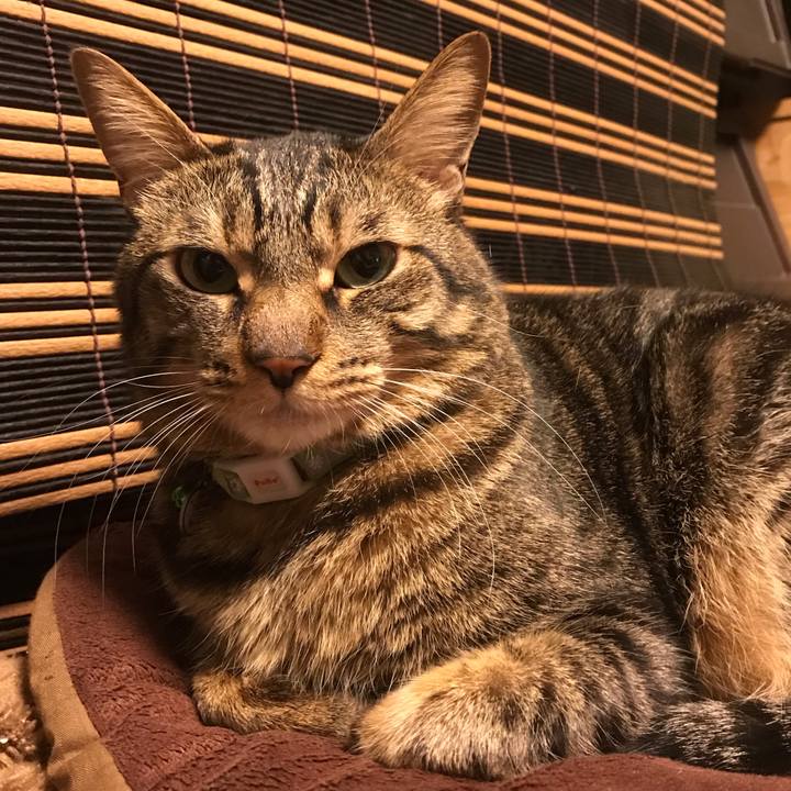 1ac26c6e fd85 44d5 974a 11b1edbacea6 1576406754849